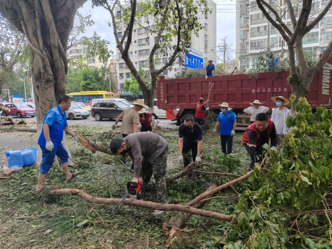 海南省社科联（社科院）积极参与灾后重建