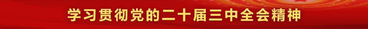 学习贯彻党的二十届三中全会精神